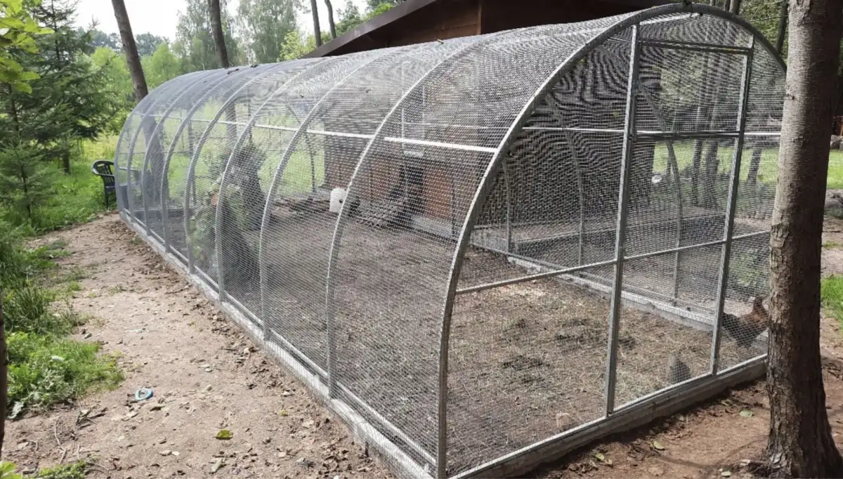 d0b772524f4fb43425aff28454d2