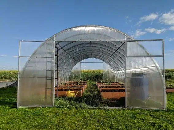 MVIMG_20210603_190049-570x570