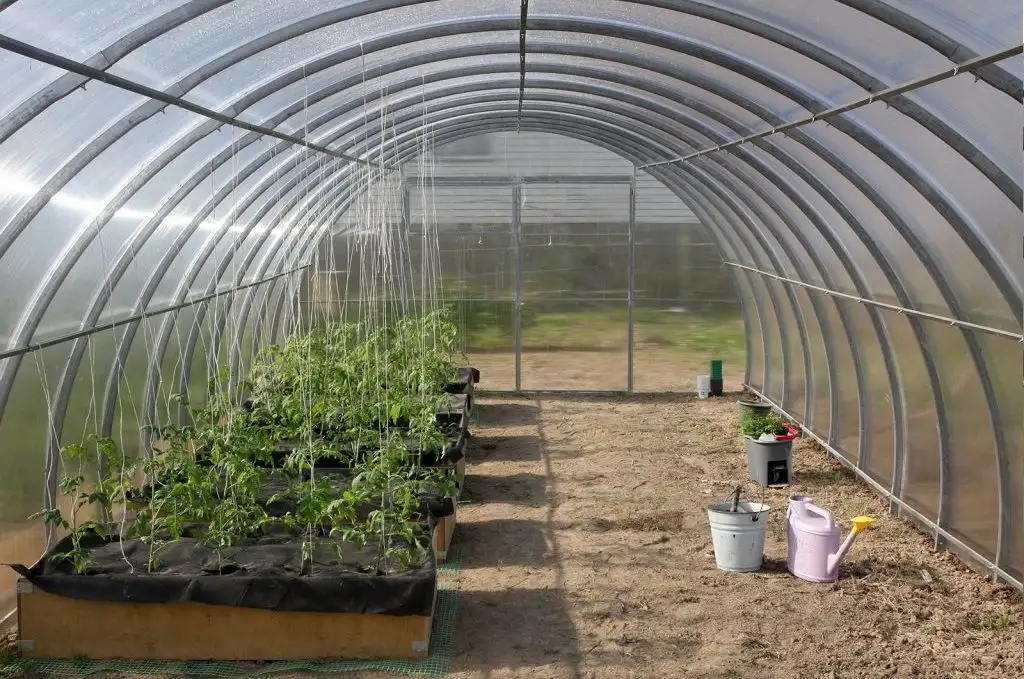 sklenik-z-polykarbonatu 40x20mm_5