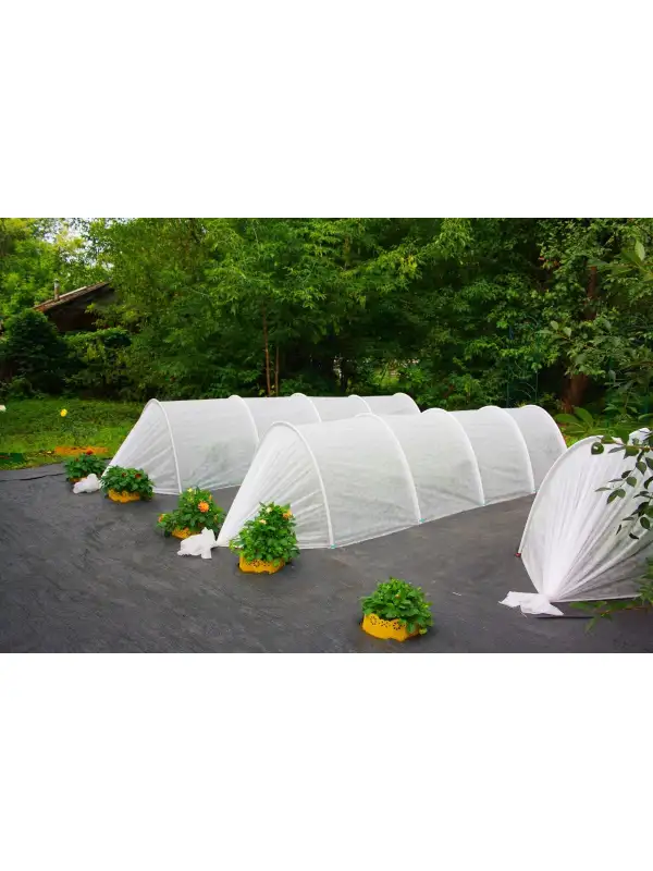 54382158 — копия