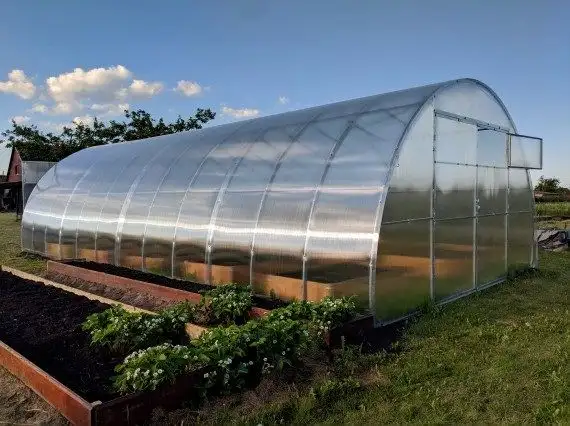 MVIMG_20210603_192044-570x570