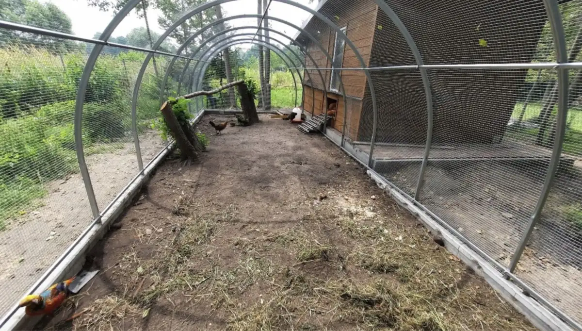 461c5286484f9826367f36e80dd1