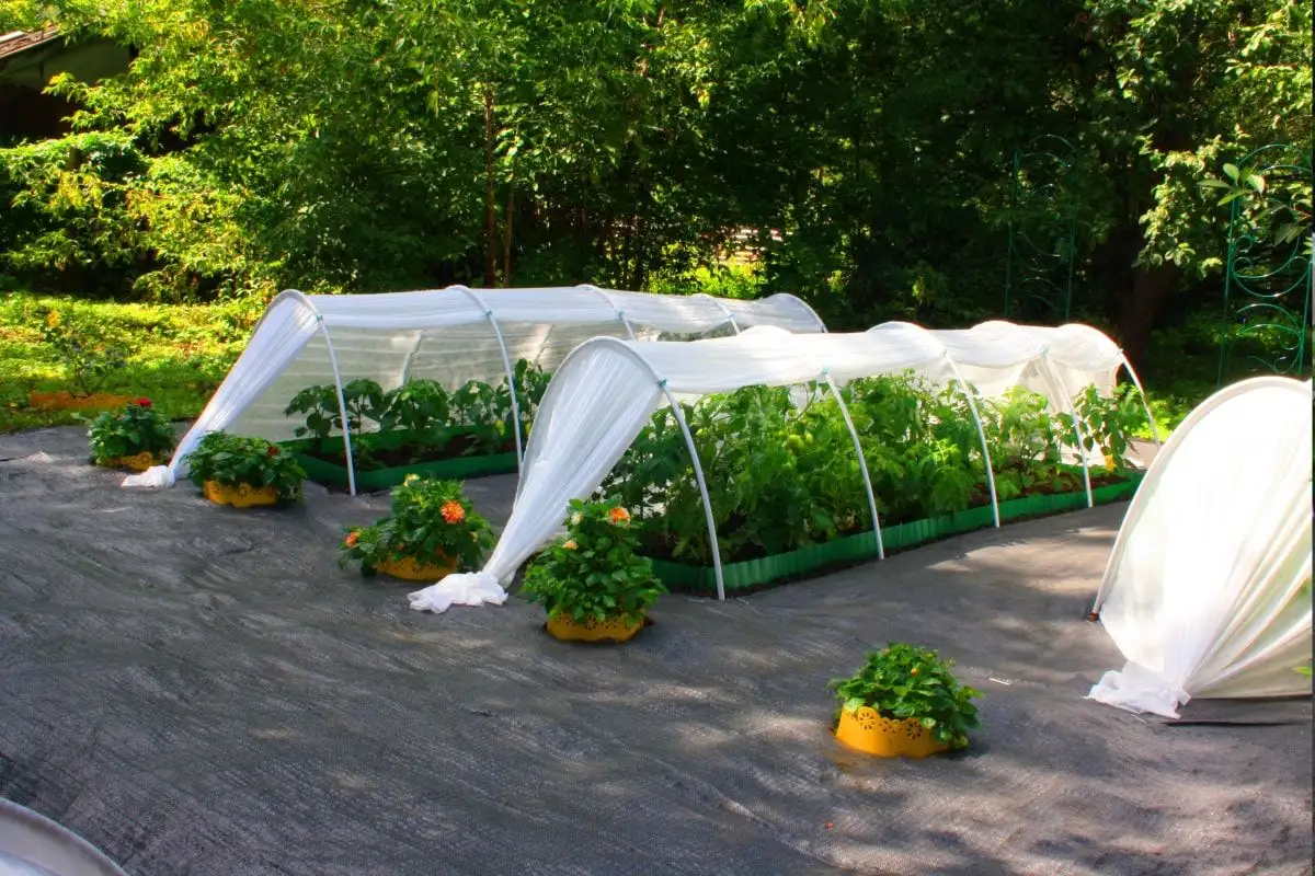 54382159 — копия