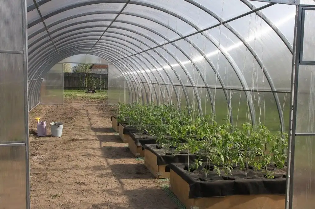 138904-11_sklenik-lanitplast-dodo-400-4x8-m-pc-8-mm-lg2168