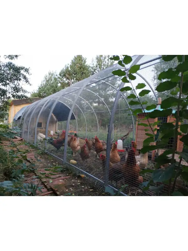 Wybieg-woliera-klatka-kur-krolikow-4x4m-Wysokosc-produktu-230-cm