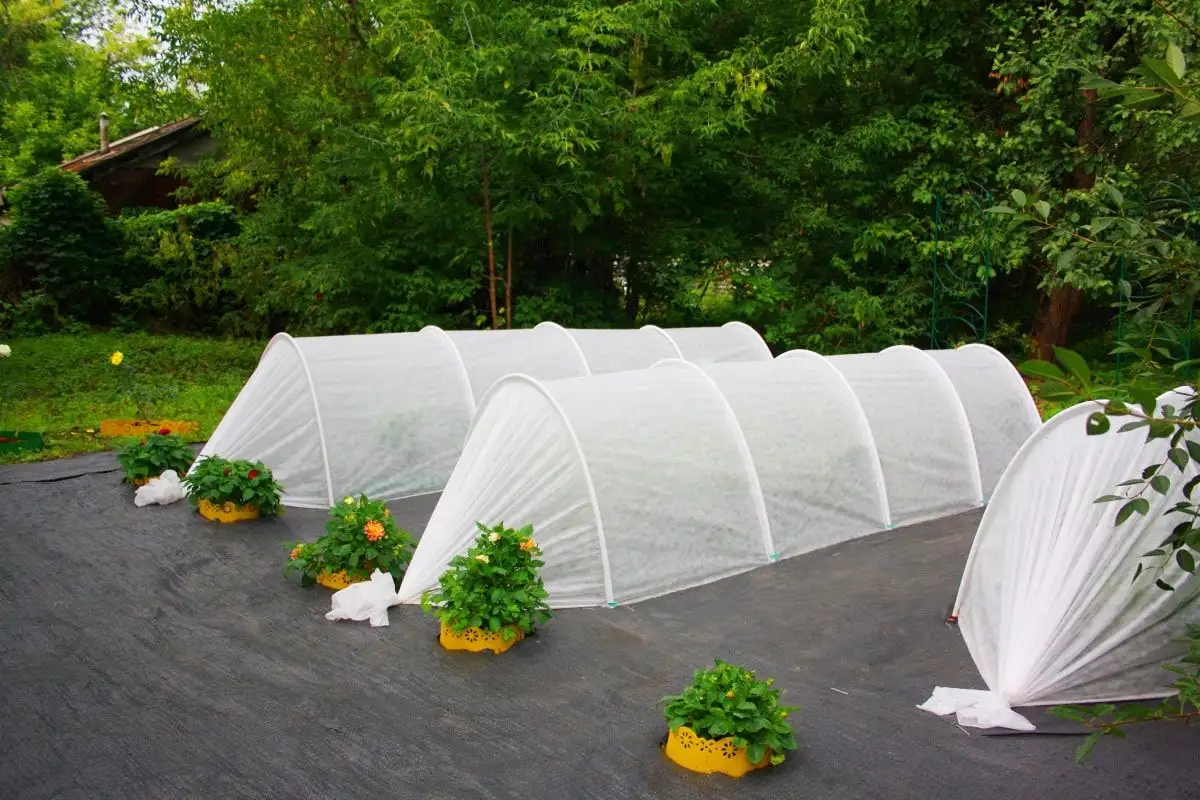 54382158 — копия